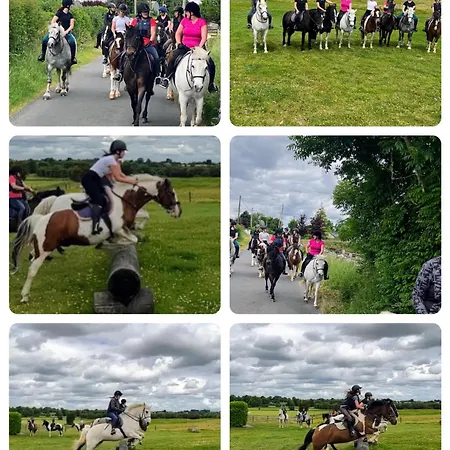 Glenboy Country Vakantieboerderij Oldcastle