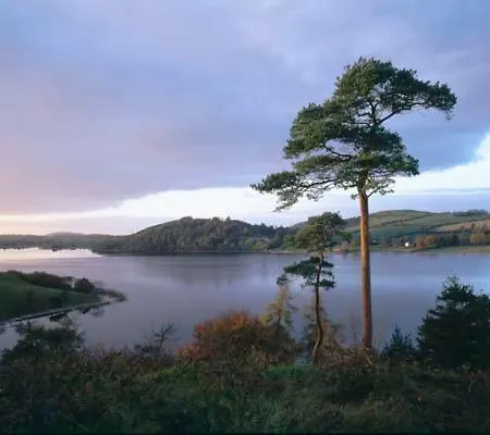 Bauernhof Glenboy Country Oldcastle