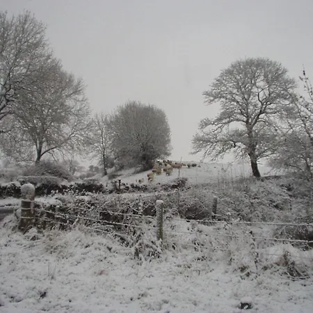 Glenboy Country * Oldcastle