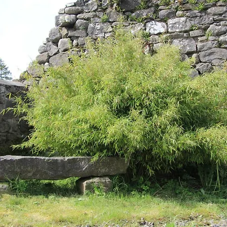 Alloggio per agriturismo Glenboy Country *