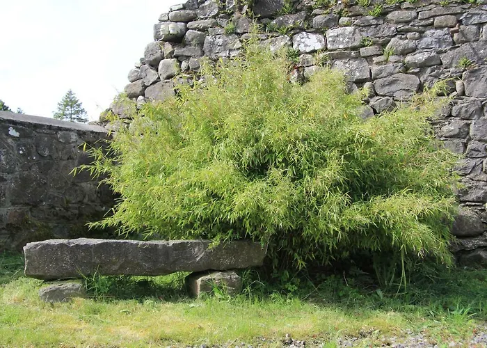 Séjour à la ferme Glenboy Country *